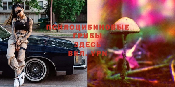 каннабис Ельня