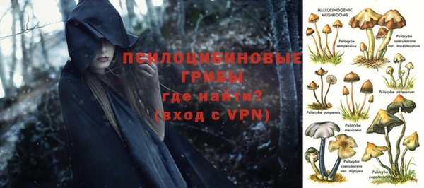каннабис Ельня