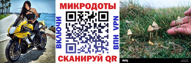 Псилоцибиновые грибы мицелий  где купить   Пущино 
